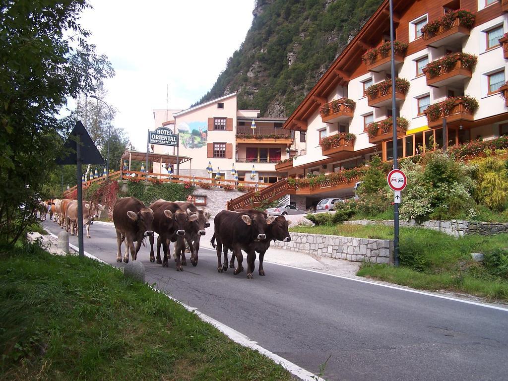 Alps Oriental Wellness Hotel カンポドルチーノ エクステリア 写真
